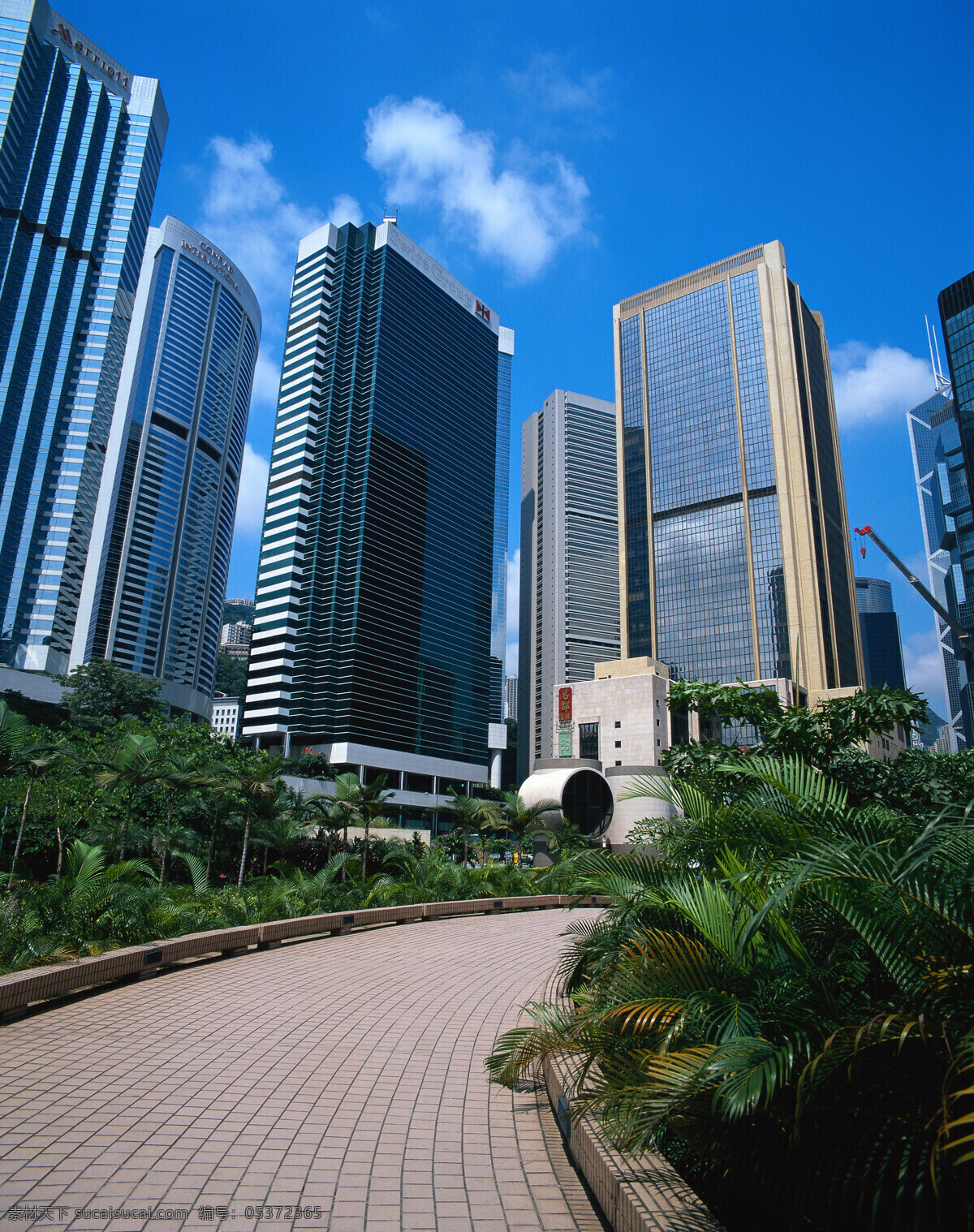 现代 城市 现代城市 现代都市 城市风景 高楼大厦 繁华都市 繁荣城市 道路 马路 城市风光 绿化 植物 环境家居