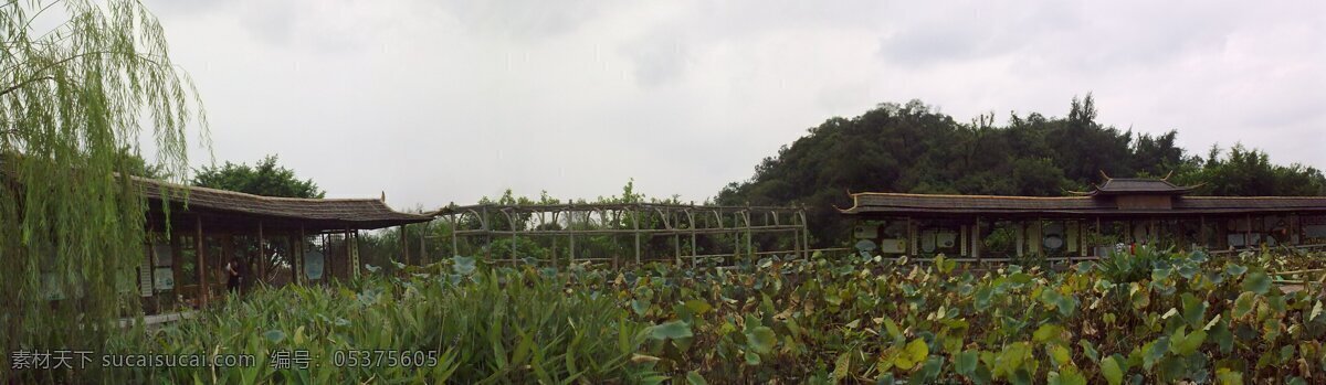 风光 长廊 风景 荷花池 柳树 山水风景 自然景观 风光长廊 竹亭 矢量图 日常生活