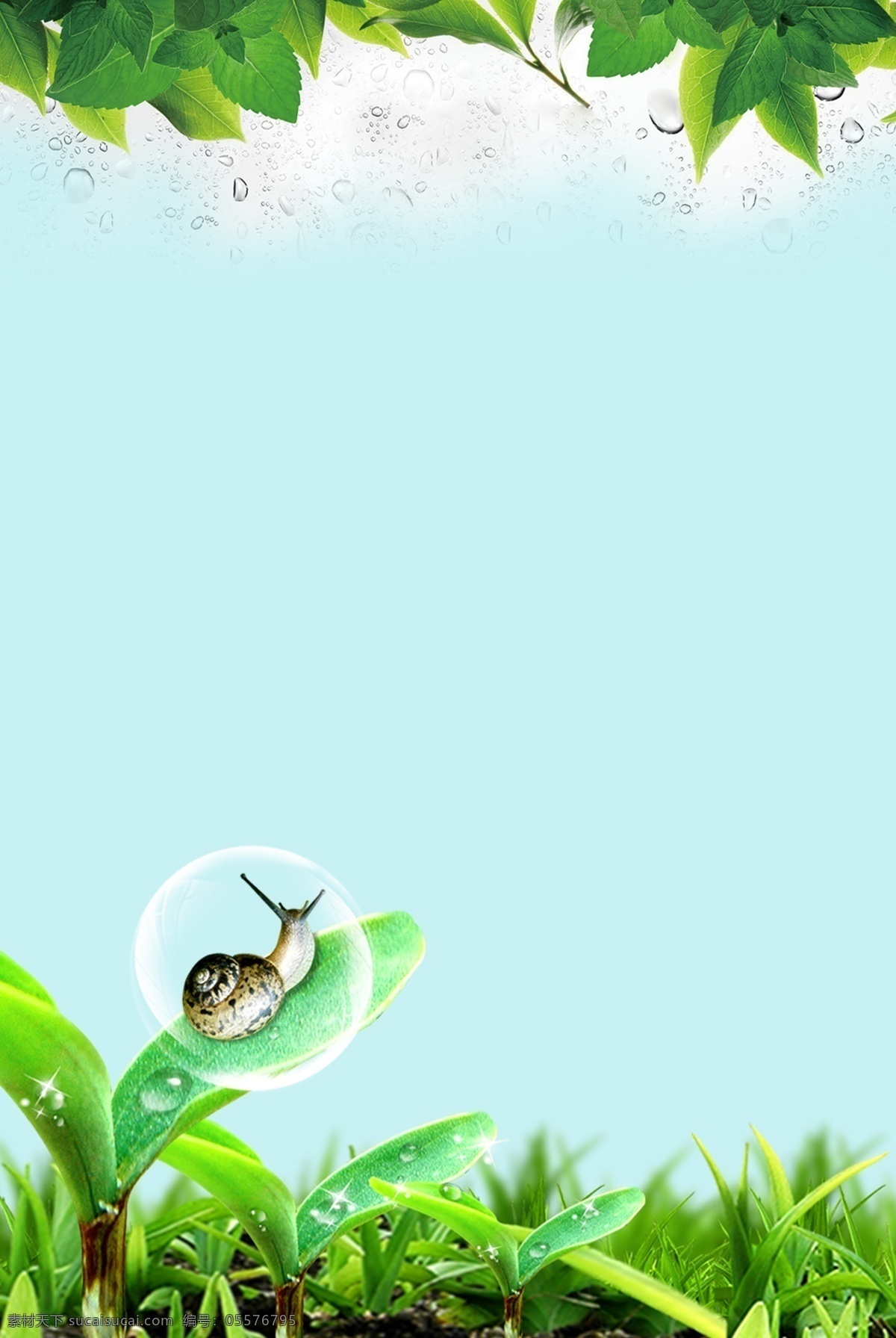 传统 二十四节气 白露 草地 蜗牛 背景 清新 绿色 简约 露珠
