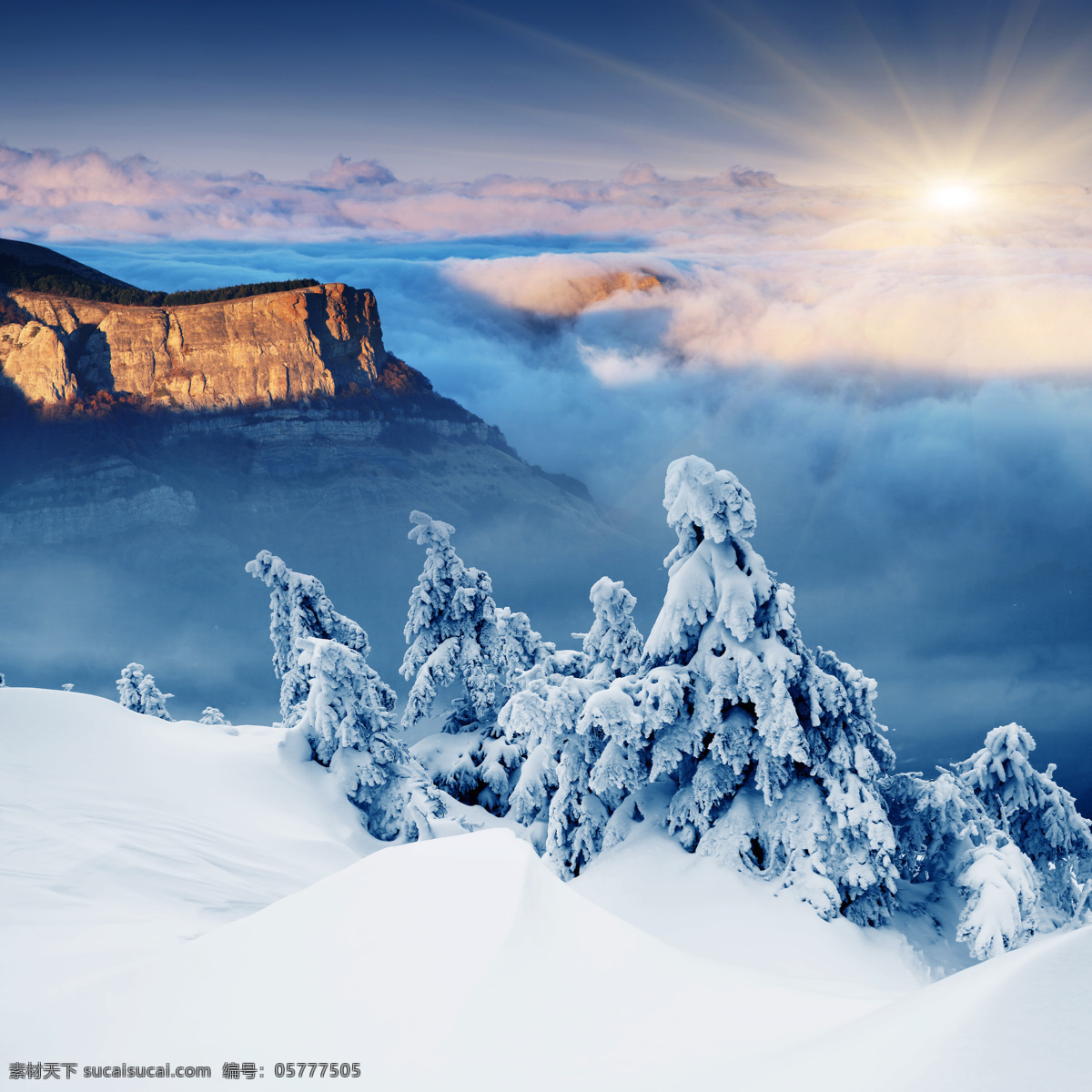 唯美冬季雪景 唯美雪景 自然 风景 风光 唯美 清新 意境 植物 旅游 公园 秦皇岛 北戴河 雪景 冬日 冬季 冬天 自然风景 自然景观