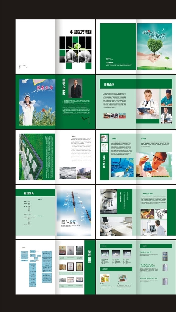 医药画册 医药 医生 医院 卫生 画册 化学 原料 绿色 健康 研究 画册设计