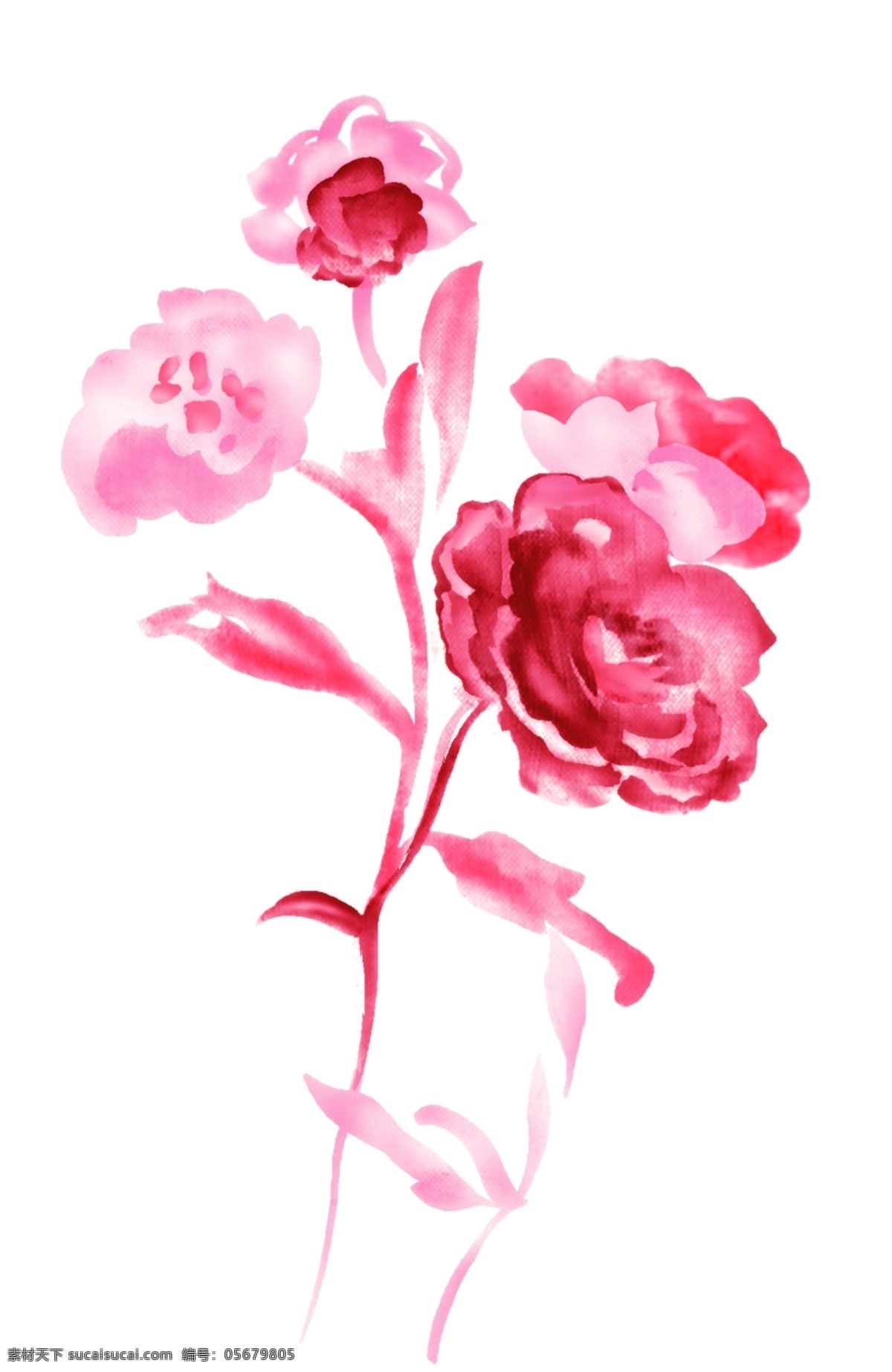 精美 水墨 手绘 玫瑰 玫瑰素材 psd素材 源文件库