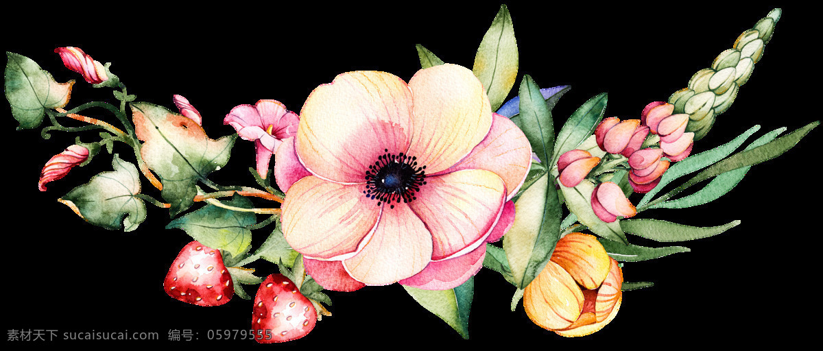 水彩花图片 手绘花 水彩花 铅笔画 月季 玫瑰花 高清 印花 粉色花 花卉 分层
