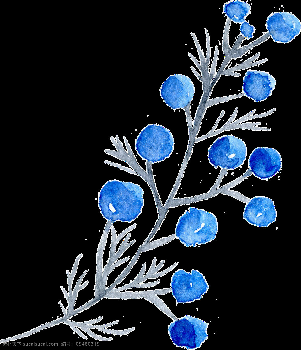 蓝色 生长 果实 卡通 透明 植物 抠图专用 装饰 设计素材