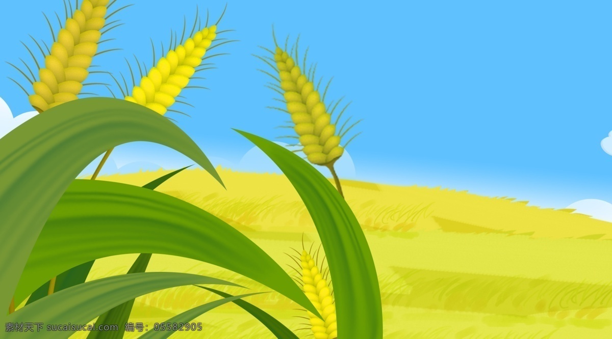 清新 风 手绘 插画 背景 小麦风景 绿色背景 治愈系背景 插画背景 植物背景 唯美 广告背景