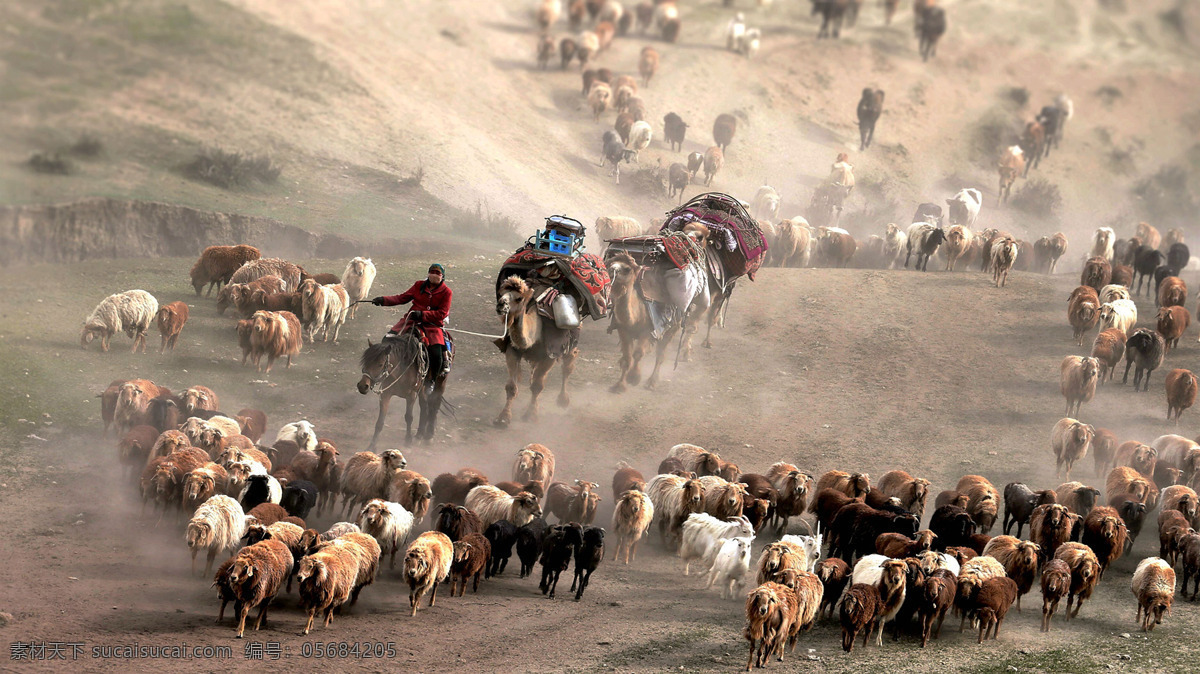 阿勒泰转场 新疆转场 阿勒泰 牧民转场 风景 风光 新疆风景 旅游摄影 国内旅游