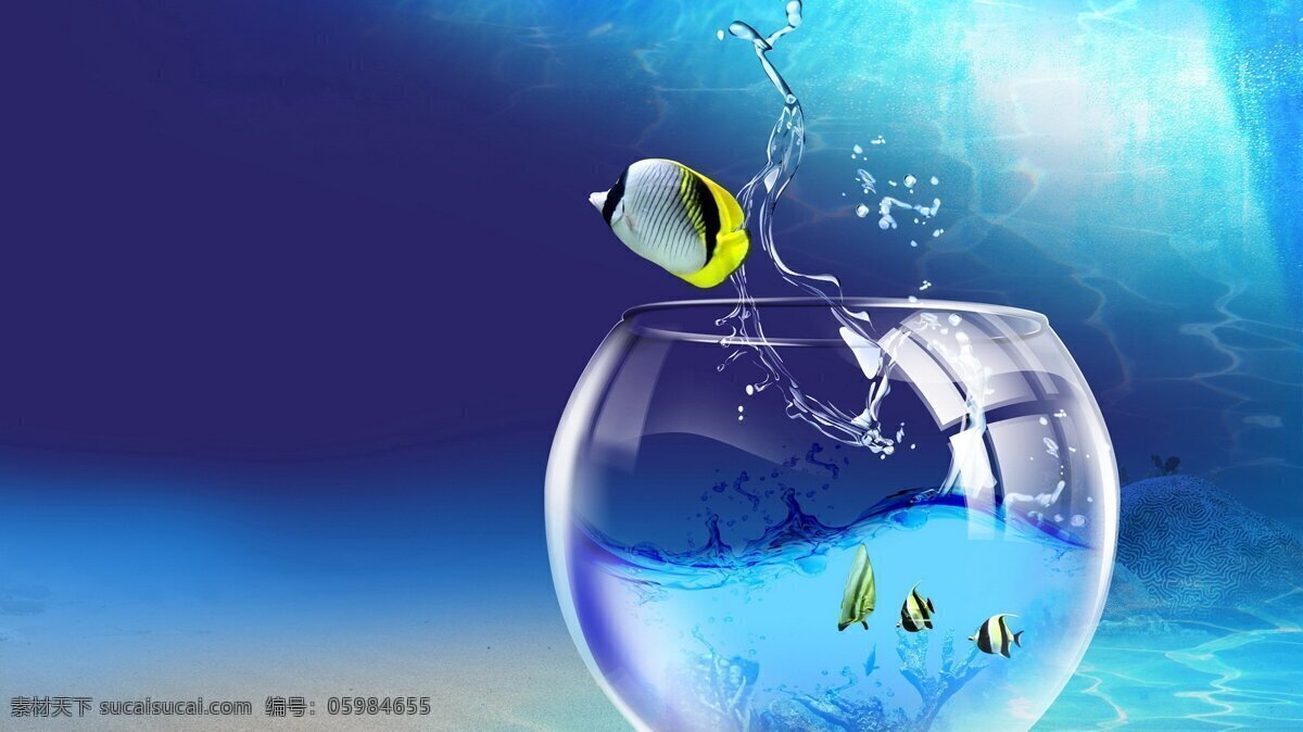 小鱼 电脑桌面 鱼缸 水滴 背景 鱼 蓝色 鱼类 生物世界