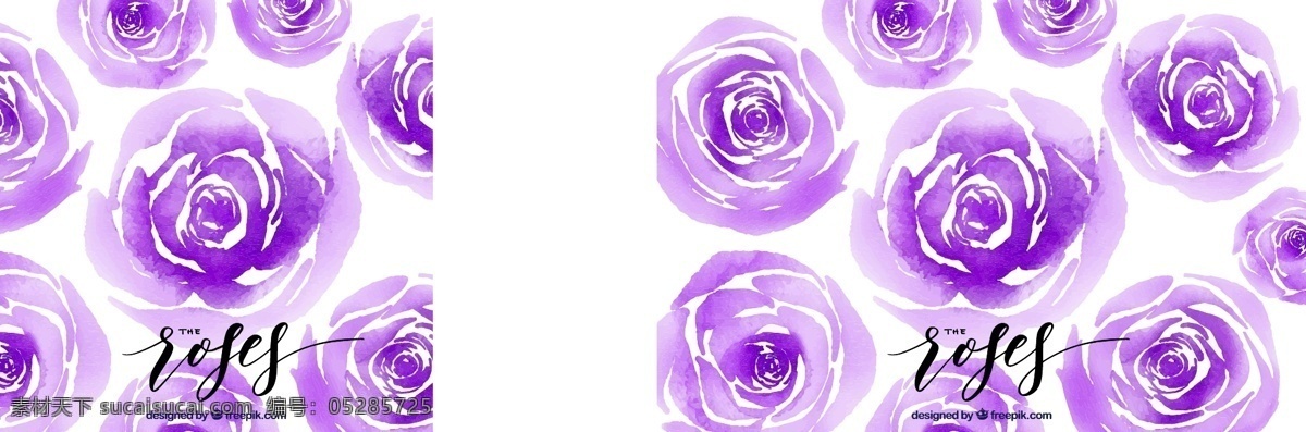 紫色 水彩 玫瑰 背景 花卉 自然 花卉背景 水彩花卉 水彩背景 春天 树叶 植物 自然背景 开花