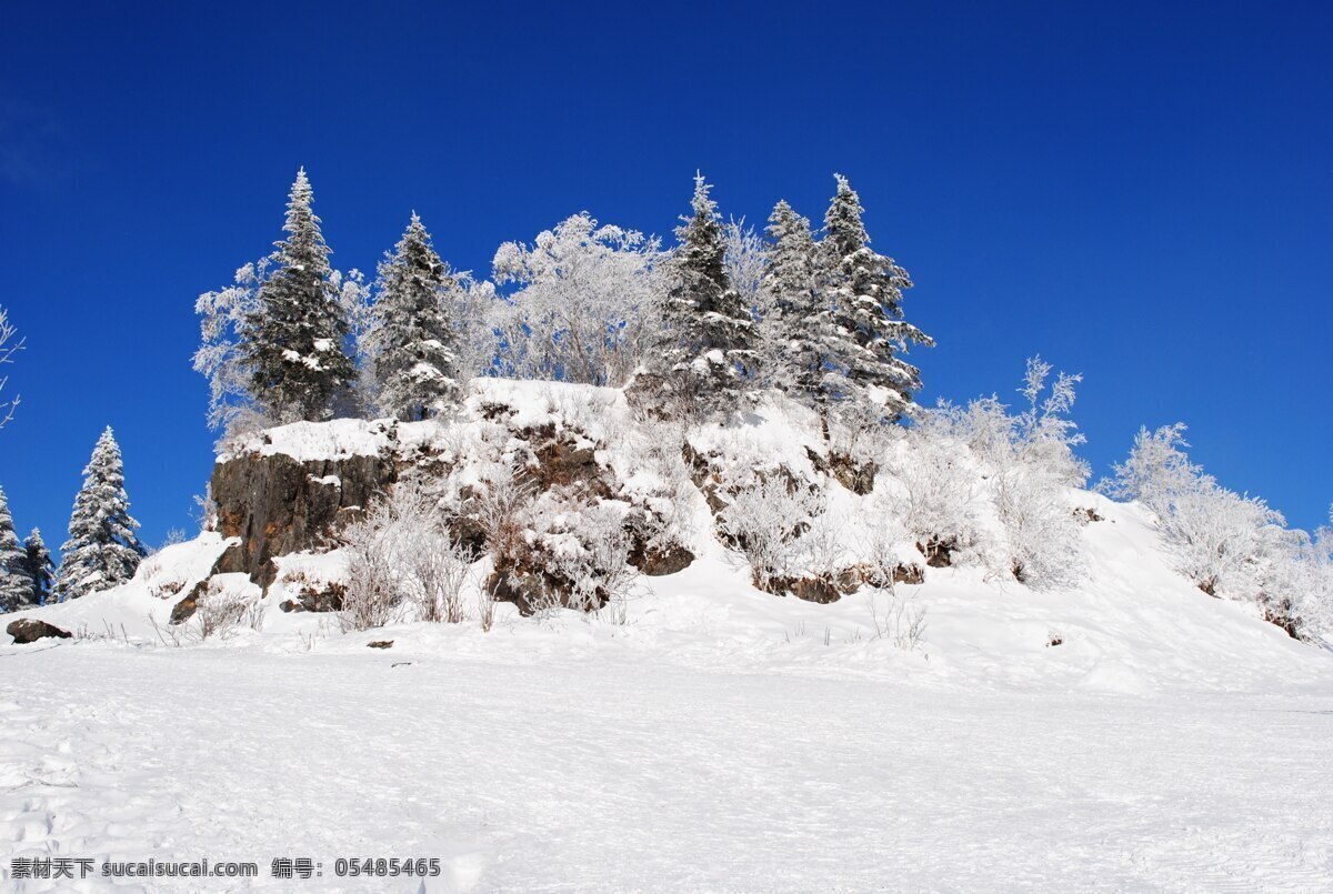 冬景 东北风景 东北冬天美景 镜泊湖 地下森林 东北之行 白雪皑皑 大雪 自然风景 旅游摄影