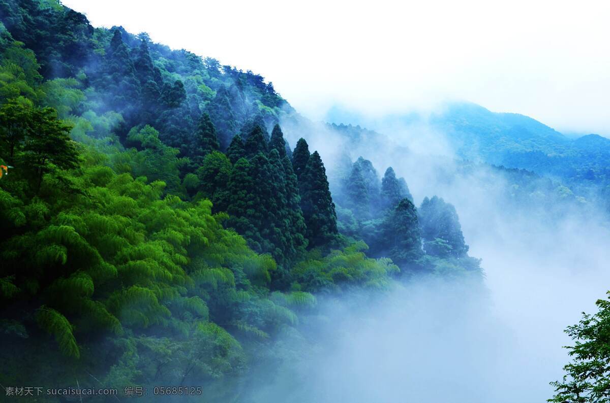 江西庐山 九江庐山 云雾 雾 森林 山林 丛林 旅游摄影 国内旅游