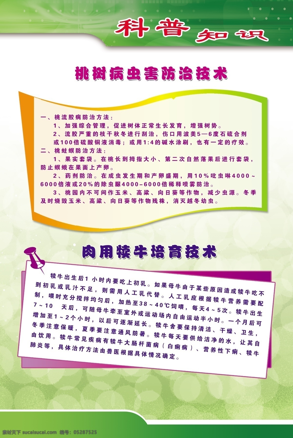 科普知识 宣传画 造型 桃树 病虫害 防治 技术 肉用 犊牛 培育 绿色背景 展板 展板模板 广告设计模板 源文件