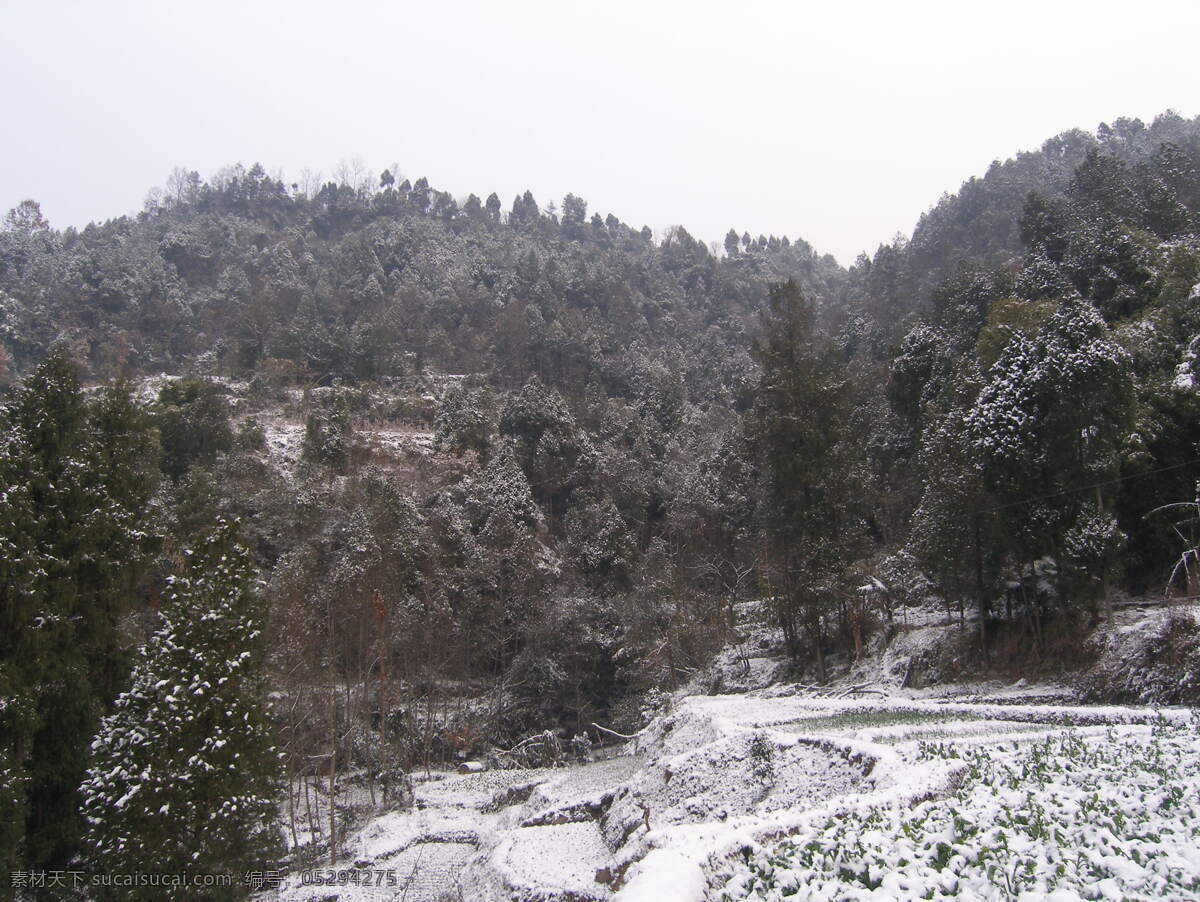 初雪 梯田 山涧 山水风景 自然景观