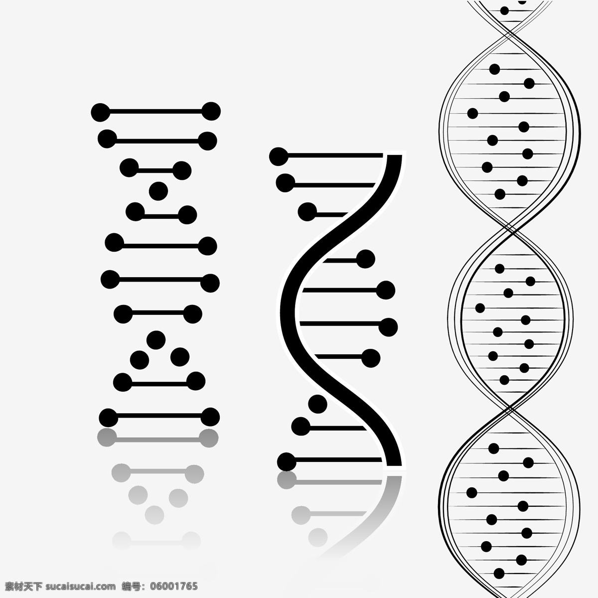 dna 科学 医学 生物 生物化学 生物学 技术细胞 化学 铬染 色体 克隆 代码 进化