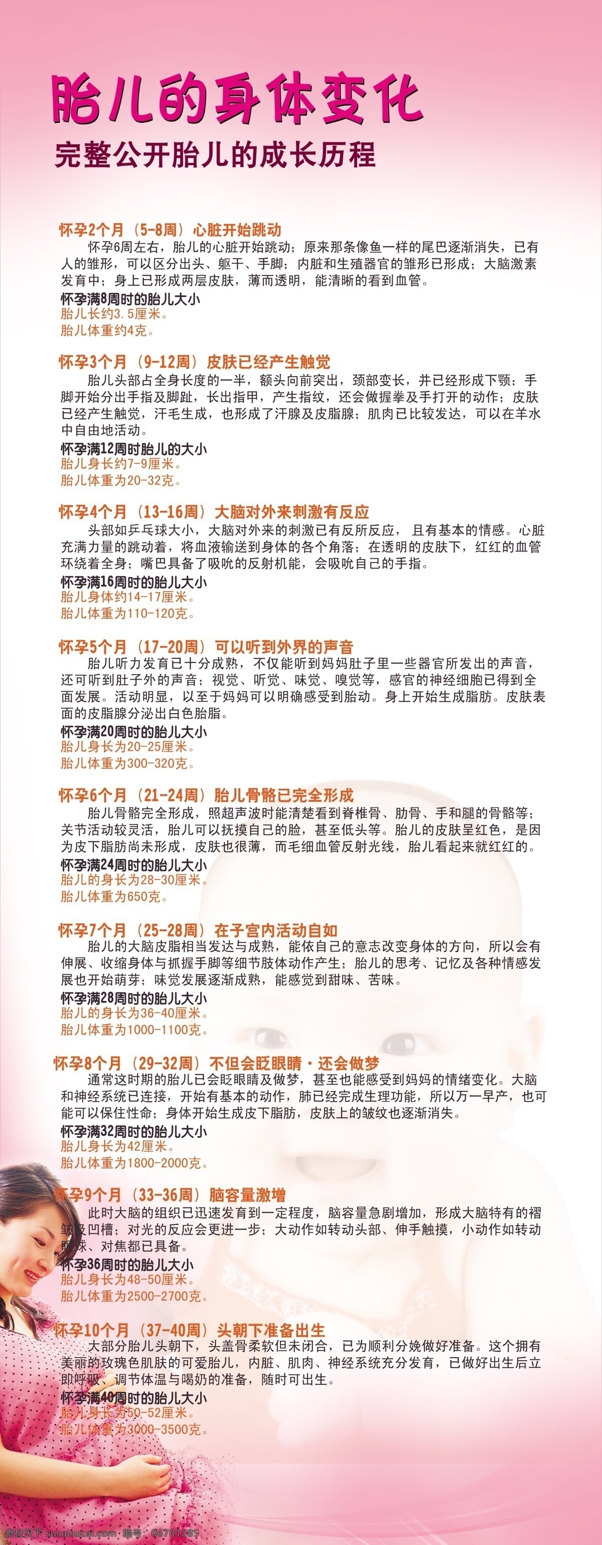 胎儿 身体 变化 粉色背景 母亲 排版 文字 婴儿 展板 展架 其他展板设计