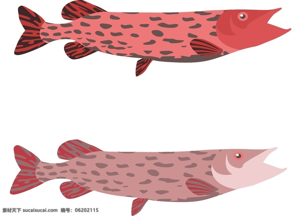 动物 图案 鱼 造型 元素 动物图案 鱼造型 鱼图案 海洋动物 海洋鱼类 鱼类 海鲜 食物 卡通鱼造型