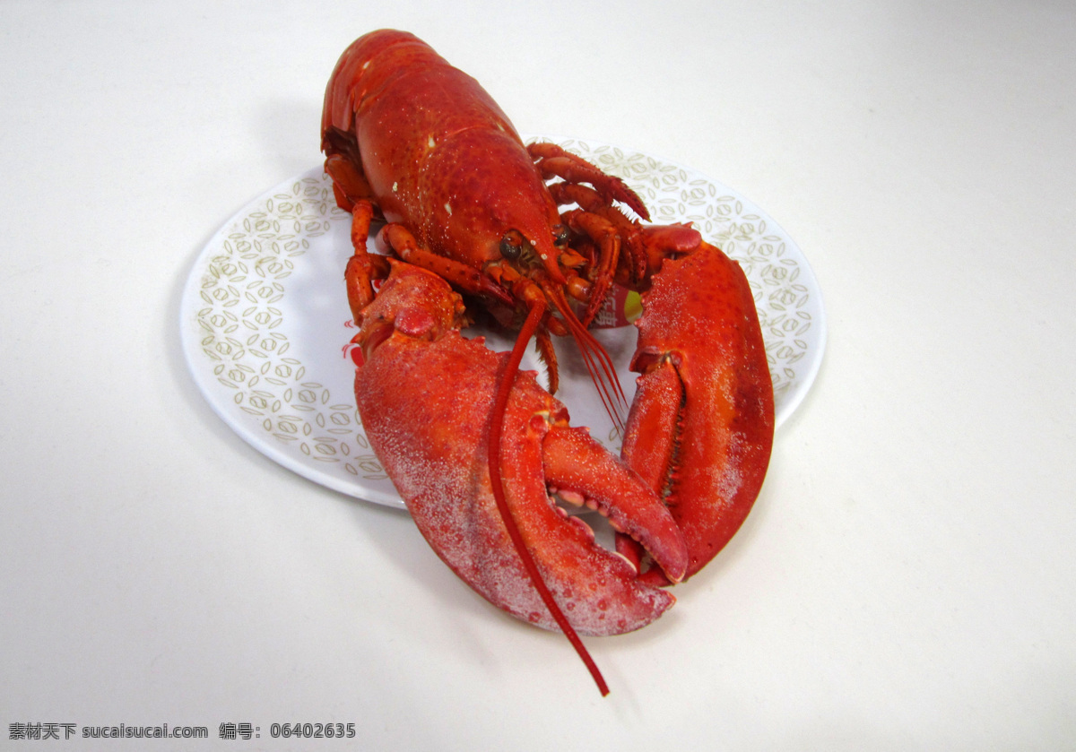 龙虾 波士顿龙虾 波士顿大龙虾 一只龙虾 一盘龙虾 餐饮美食 传统美食