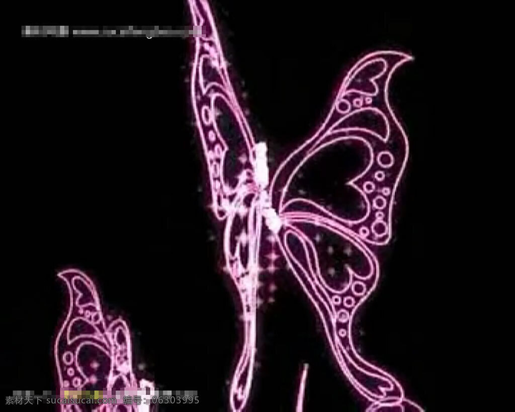 紫色 蝴蝶 飞舞 动态 视频 视频素材 昆虫 梦幻 紫色视频背景 mov 黑色