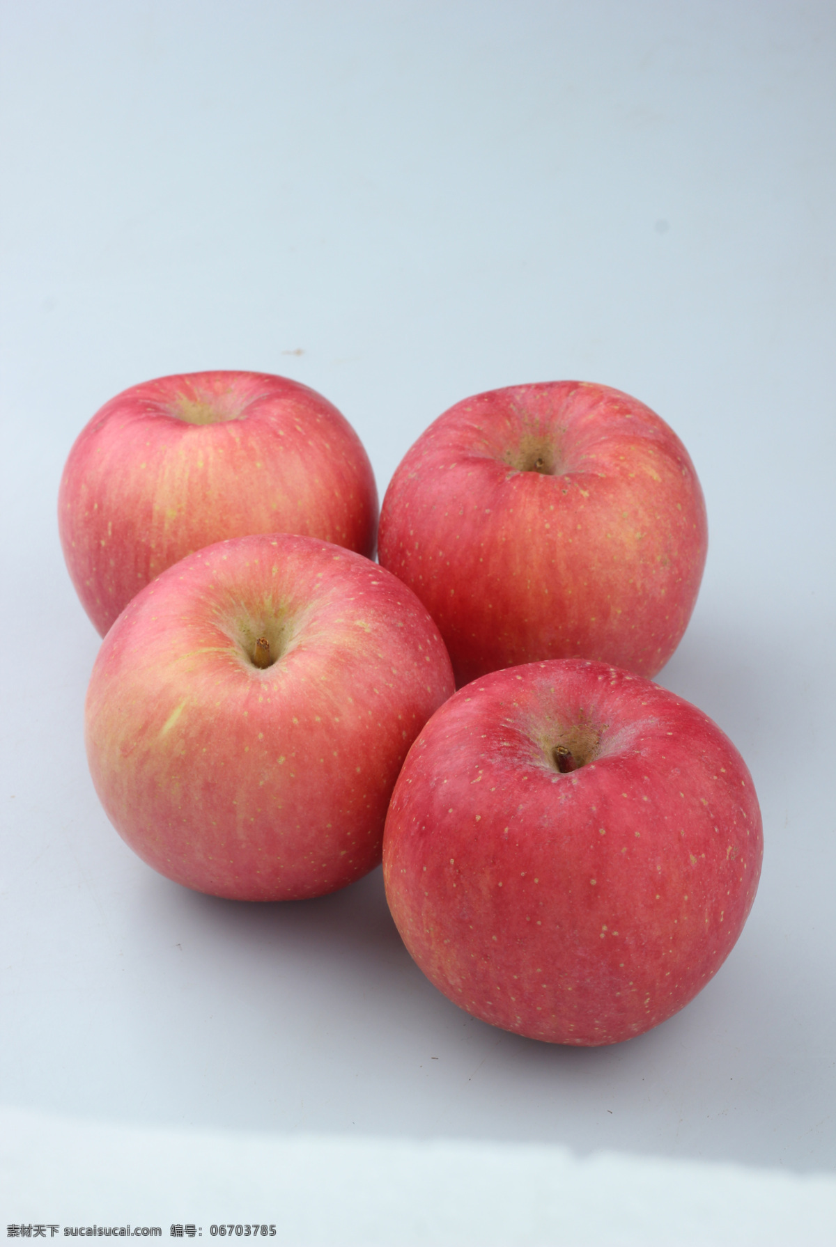 苹果 水果 红苹果 圣诞苹果 超市苹果 红富士 陕西苹果 90苹果 生物世界