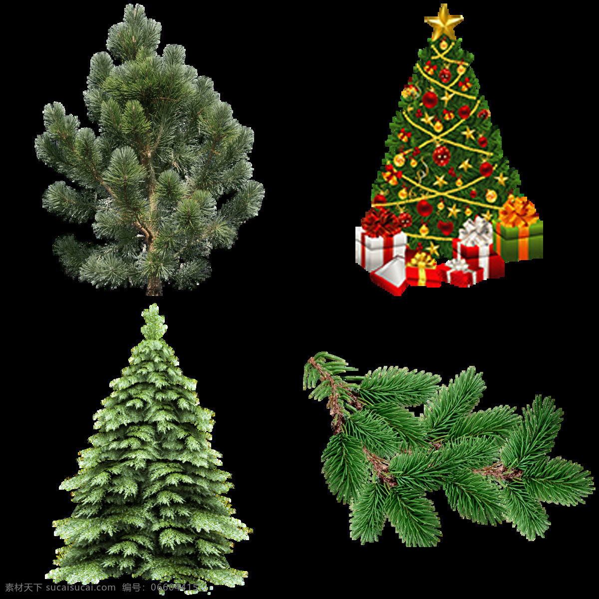四 圣诞树 免 抠 透明 图 层 丝带圣诞树 圣诞树装饰 矢量圣诞树 可爱圣诞树 商场圣诞树 白色圣诞树 松树 枞树 枞树素材 枞树装饰图 圣诞元素 绿色圣诞树 节日装饰元素