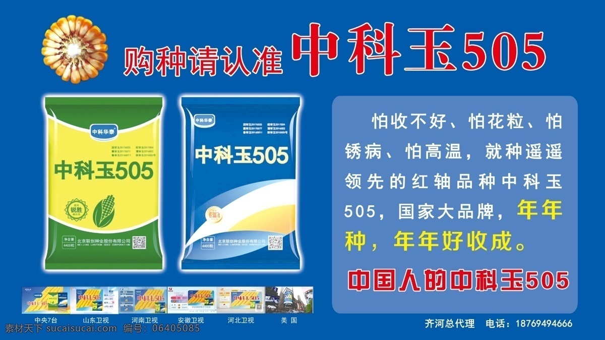 中科玉505 505 玉米 玉米广告 玉米种 室内广告设计
