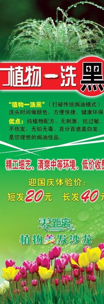 绿色展板 水珠 露珠 鲜花 线条 绿色 展板 展架 分层素材 展板模板 广告设计模板 源文件