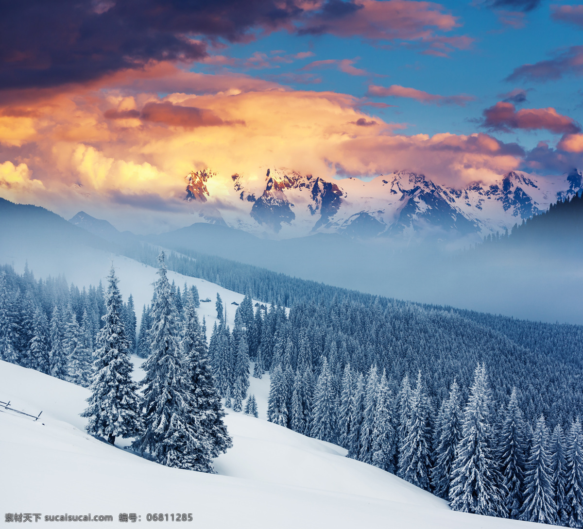 傍晚 时分 美丽 雪地 树林 傍晚时分 美丽的雪地 白雪 橙色云朵 美景 雪景 山水风景 风景图片