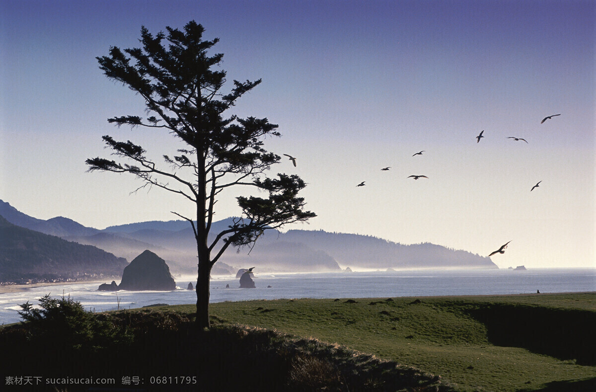 山水 树 300 草地 海鸟 海滩 景色 山 山水风景 山水树 摄影图库 水 自然 自然景观 震撼 山峦 psd源文件