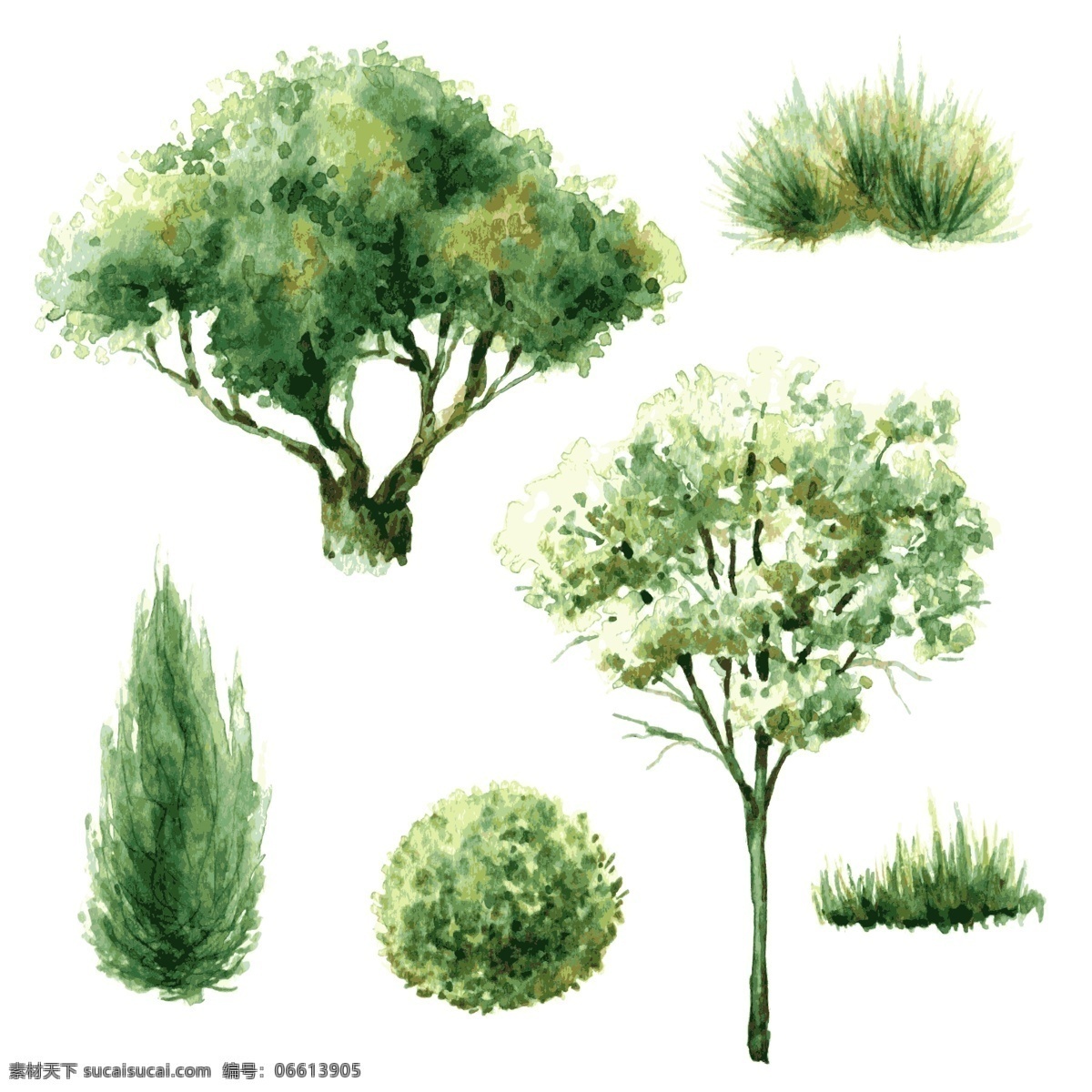 绿色 水彩 绘 植物 大树 插画 草丛 清新 手绘 水彩绘