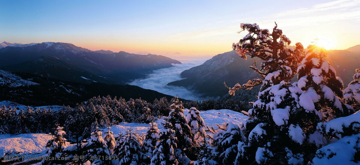 冬天 雪景 大雪 冬天雪景 风景 生活 旅游餐饮