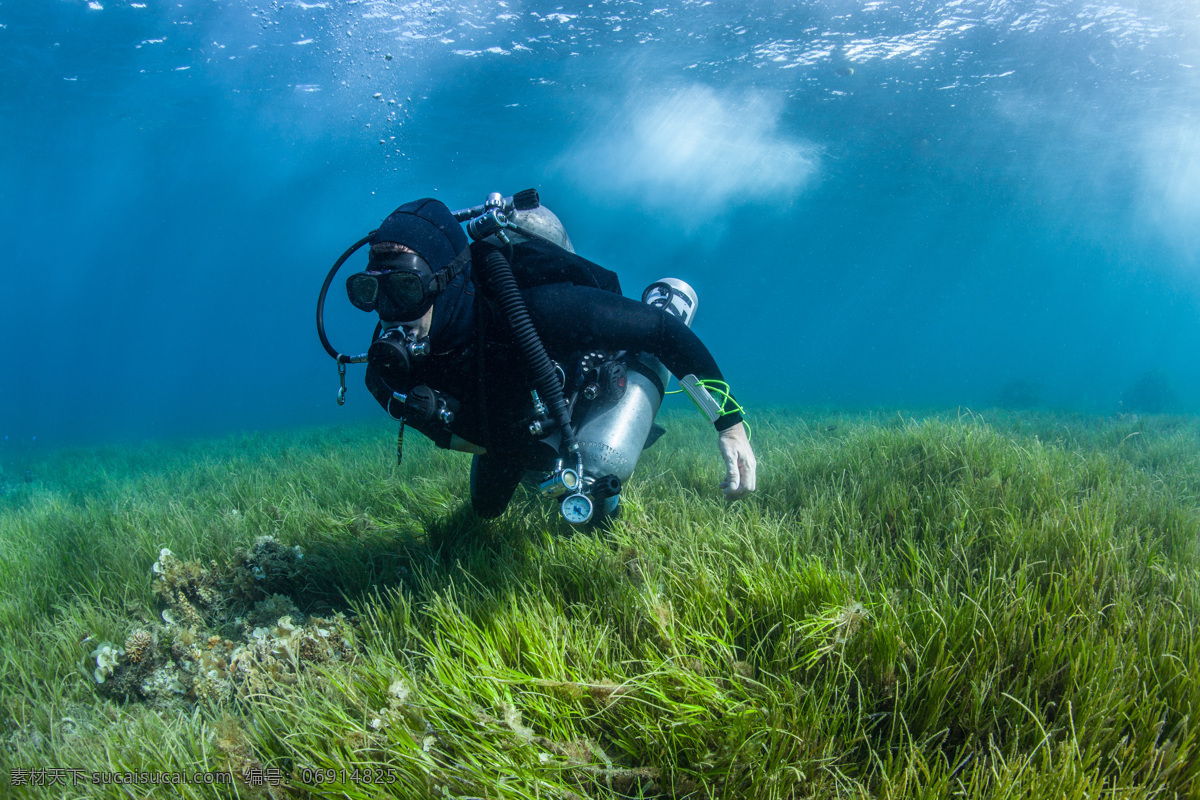 潜水员 海底潜水 海底世界 珊瑚 海洋生物 潜水 海洋 珊蝴 职业人物 人物图库