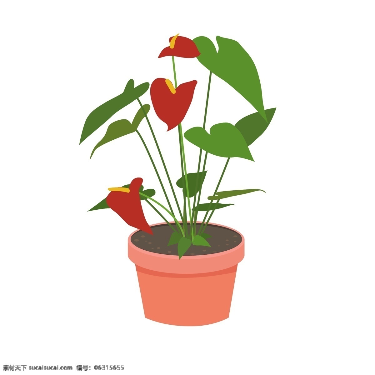 红掌 家居 植物 热带 室内 盆栽 矢量 元素 绿植 热带植物 室内植物 吸甲醛 家居植物