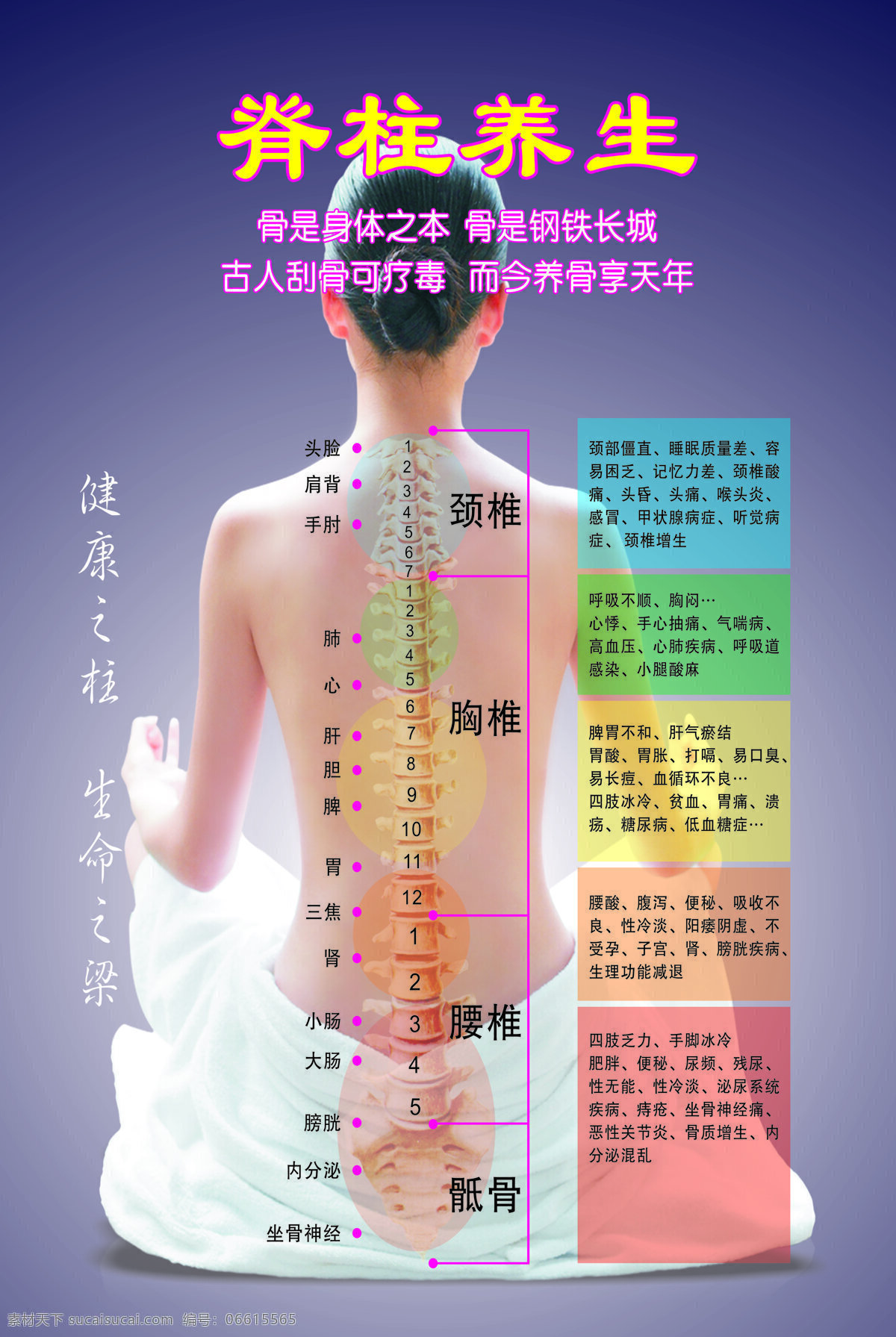 脊柱养生 脊柱 养生 健康 广告 海报 彩页 平面设计 生命