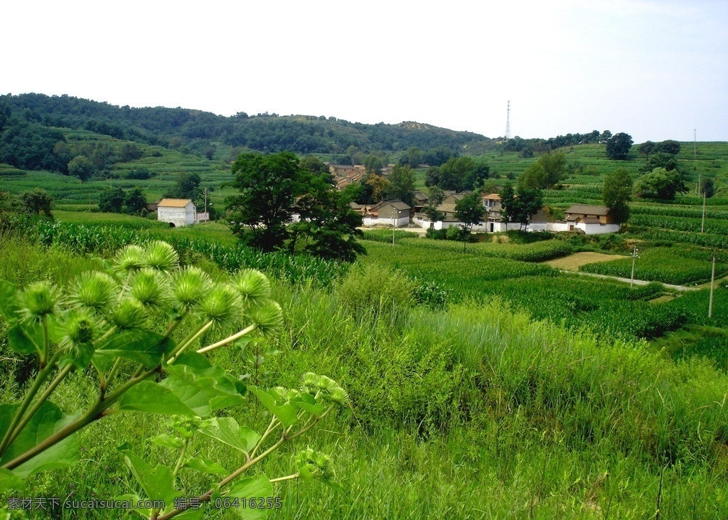 小山村 农村 田野 夏天 绿野 村庄 乡村 田地 绿色 绿色背景 北方农村 故乡 国内旅游 旅游摄影