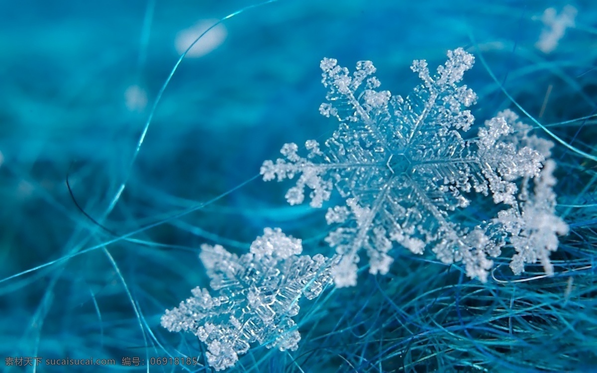 雪花 雪 冷 冰 霜冻 冬天