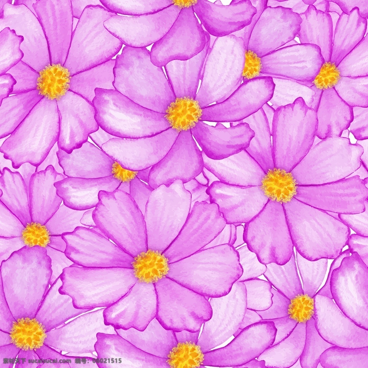美丽的菊花 植物 美丽 底纹 菊花 紫色
