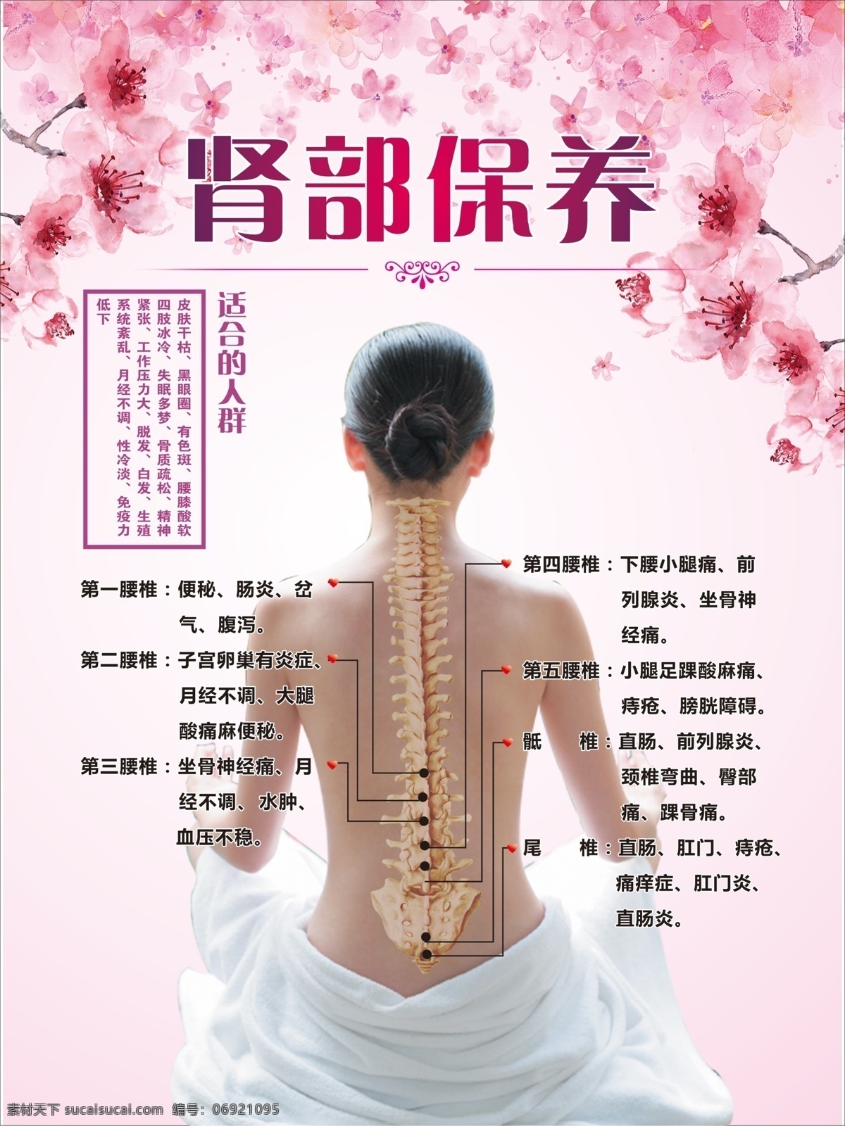 肾部 中医养生 身体护理 保养 美容宣传 广告 贴画 海报 功效 好处