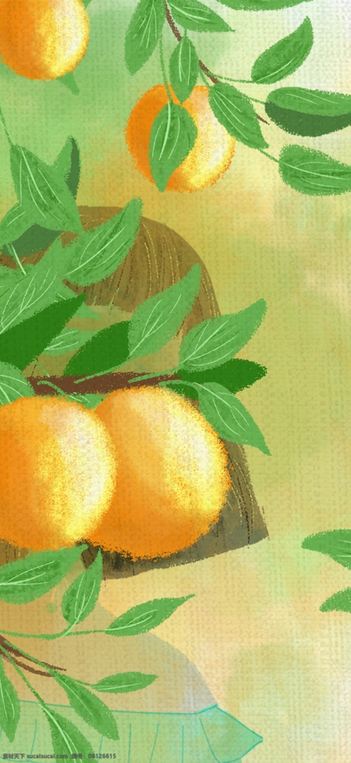 橘子 林 历险记 水彩 风 插画 水彩风 秋天 秋分 二十四节气 节气插画