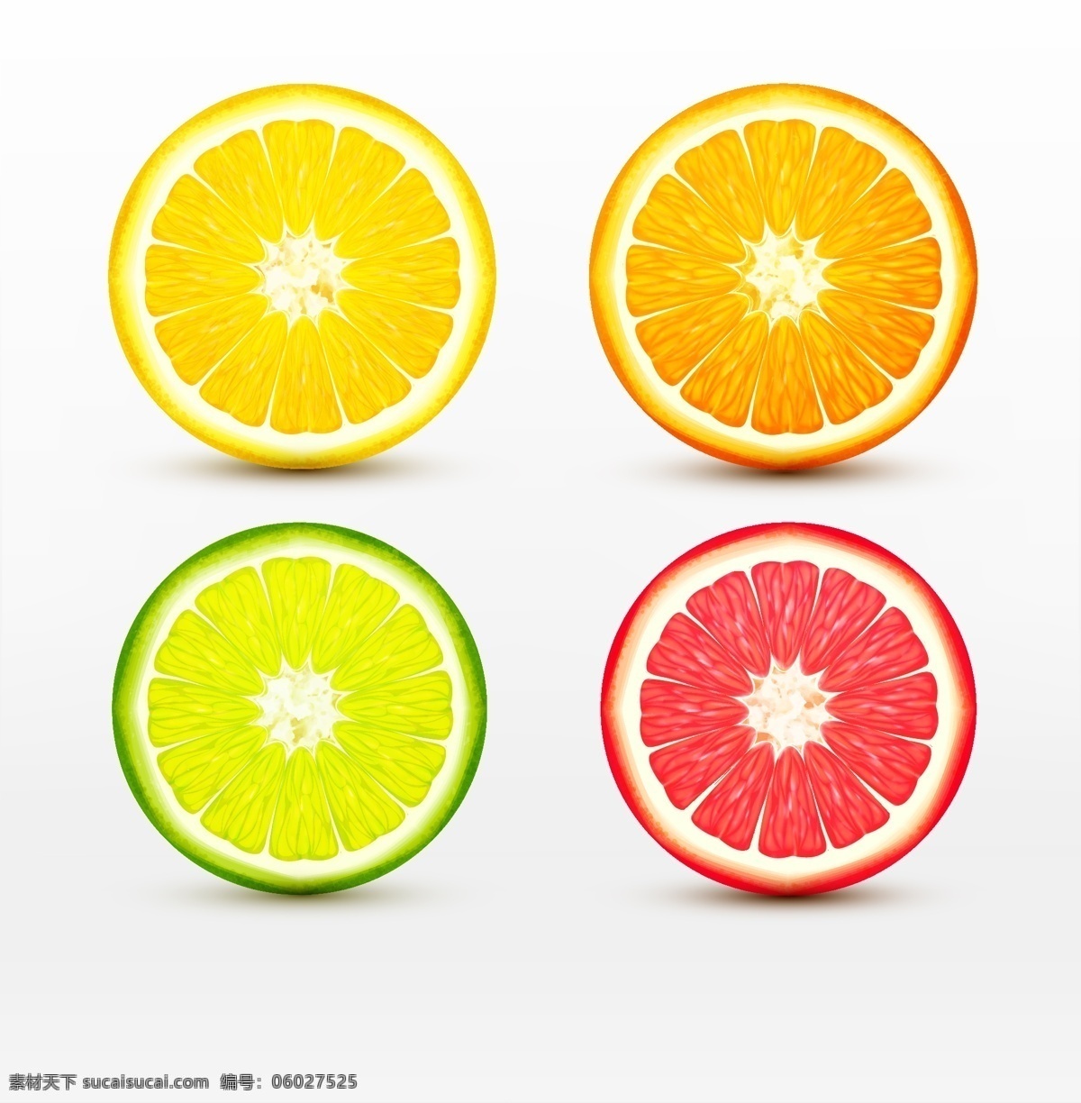四 款 不同 颜色 柠檬 切面 矢量 水果 黄柠檬 橙色柠檬 青柠檬 红柠檬 柠檬切面 果实 漂亮的柠檬 文化艺术 绘画书法