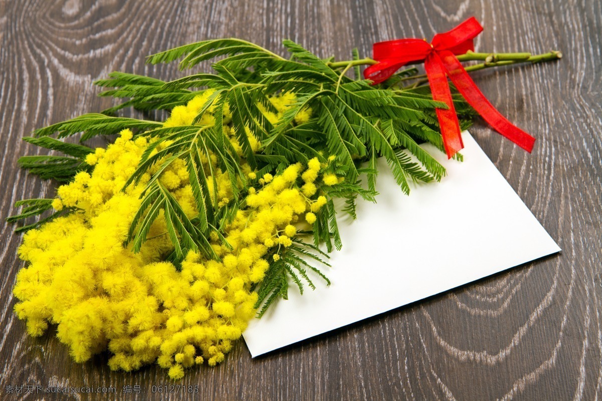 木板 上 油菜花 卡片 植物 花卉 花草树木 生物世界