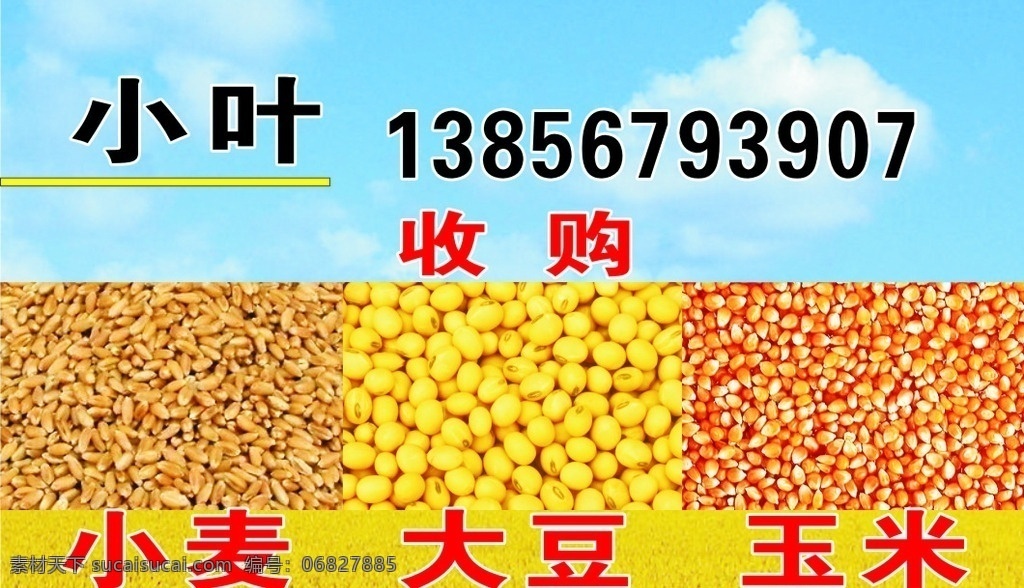 收购小麦 收购 小麦 大豆 玉米 农作物 名片cdr 名片卡片