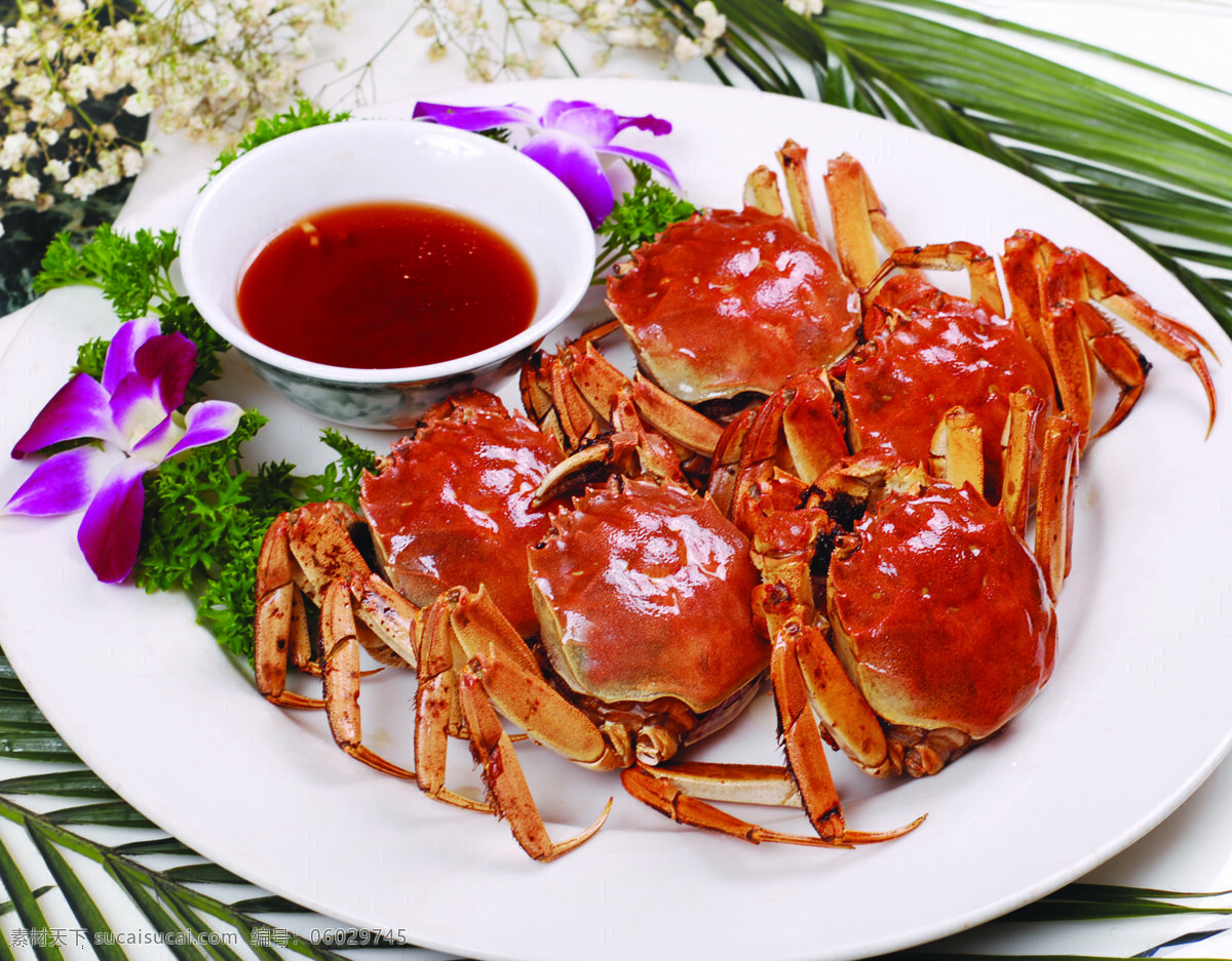 螃蟹图片 清蒸花蟹 清蒸螃蟹 海鲜图片 海鲜菜谱图片 餐饮美食 传统美食