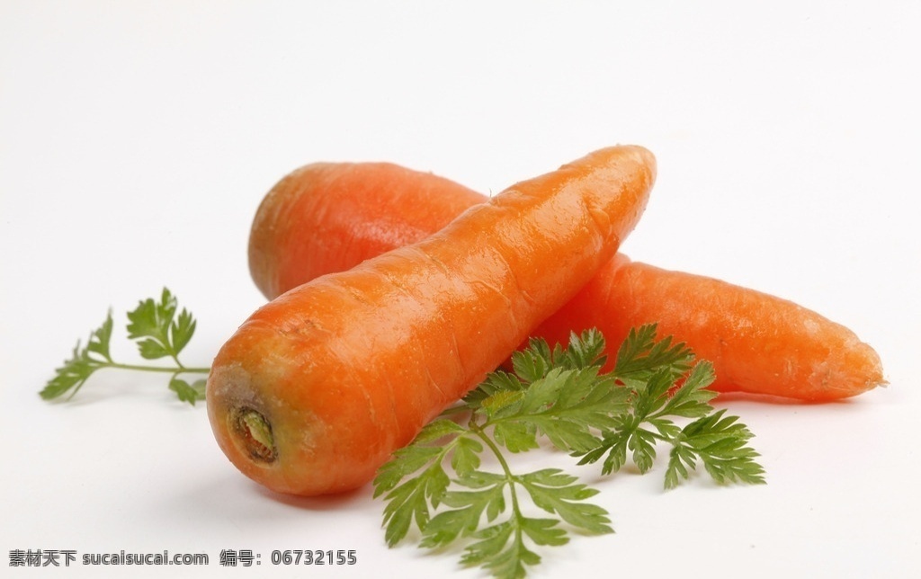 胡萝卜 萝卜 蔬菜 食物 有机蔬菜 绿色蔬菜 农产品 菜篮子 蔬菜摄影 生物世界