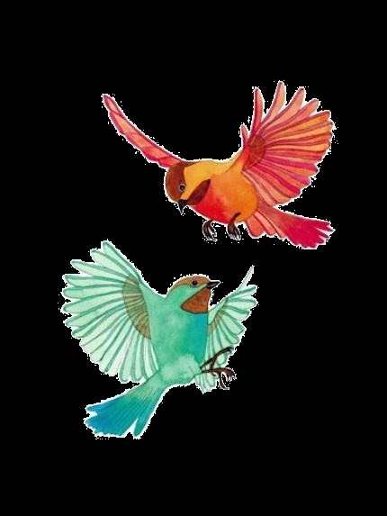 帅气 飞翔 彩色 小鸟 装饰 元素 动物 红色小鸟 蓝色小鸟 手绘小鸟 装饰元素