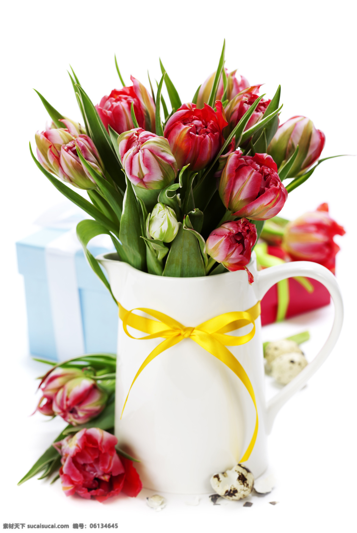 美丽 花盆 鸟蛋 郁金香花朵 复活节礼物 花瓶 春天花朵 美丽鲜花 花卉 复活节鲜花 花草树木 生物世界