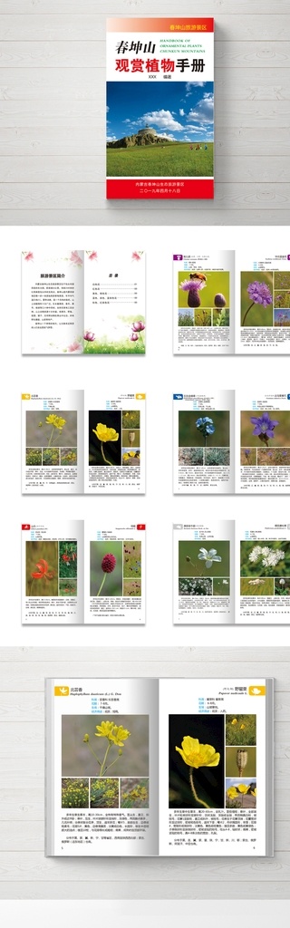 观赏植物手册 画册 春坤山 小手册 方便携带 旅游手册 画册设计