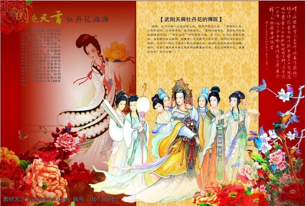 牡丹展板 牡丹 牡丹花 传统文化 文化艺术 矢量