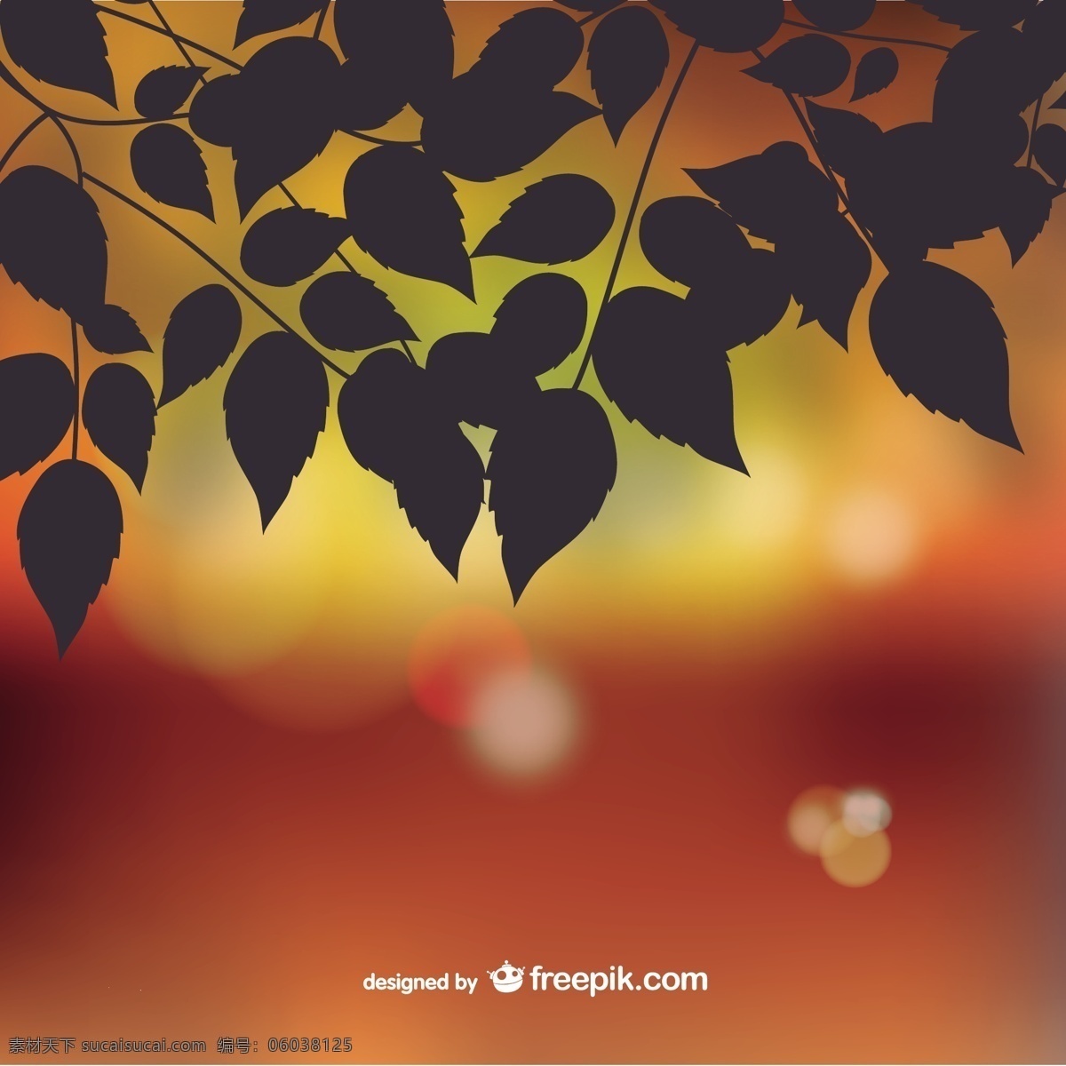 秋天 树叶 背景 虚化 剪影 树 自然 叶子 黑色的背景 黑色 日落 插图 分支 自然背景 树的剪影 背景是黑色的 美丽的
