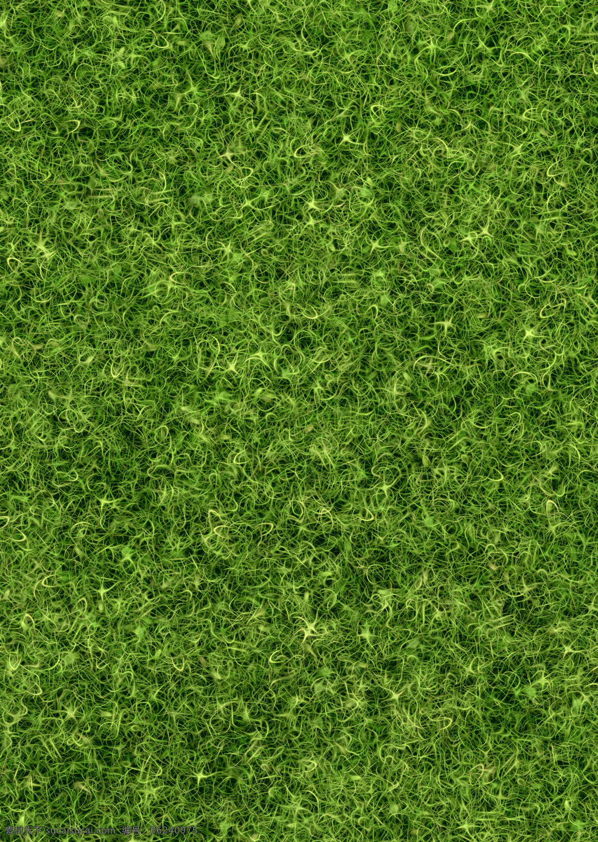 草地 夏天 自然 户外 春天 绿草 田野 农业 草坪 小麦草 绿色背景 绿色纹理 花草 野餐 贴图 底纹 生物世界
