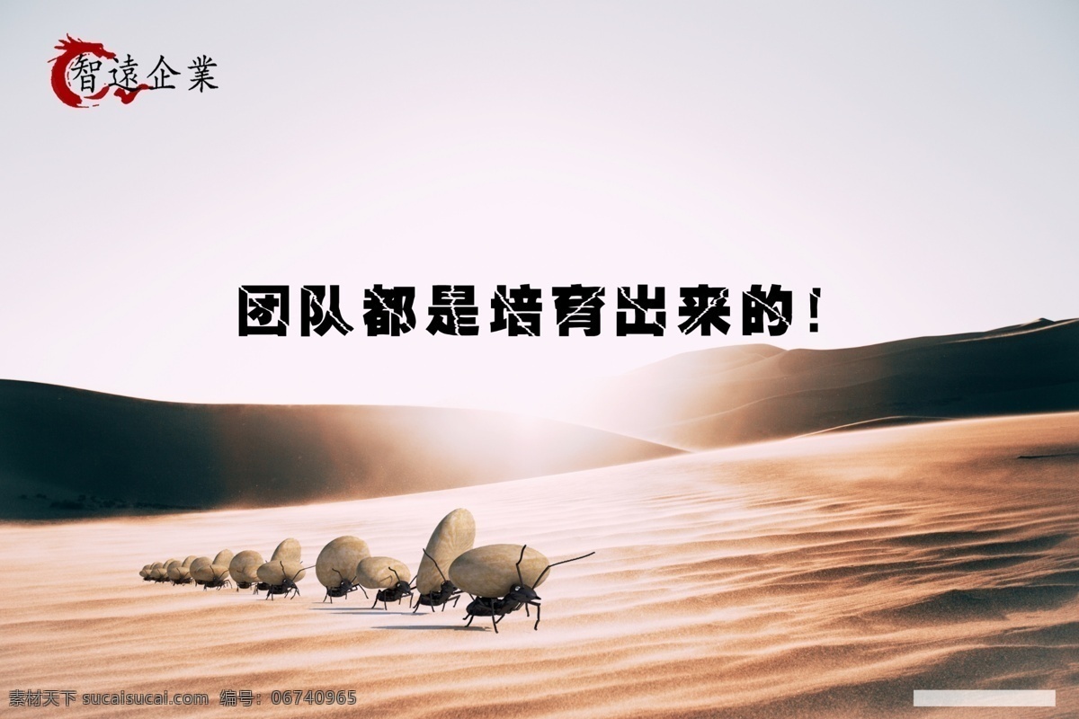 打造团队 打造 团队 培育 营销 蚂蚁 企业 文化 企业文化 宣传 资料 内容营销0