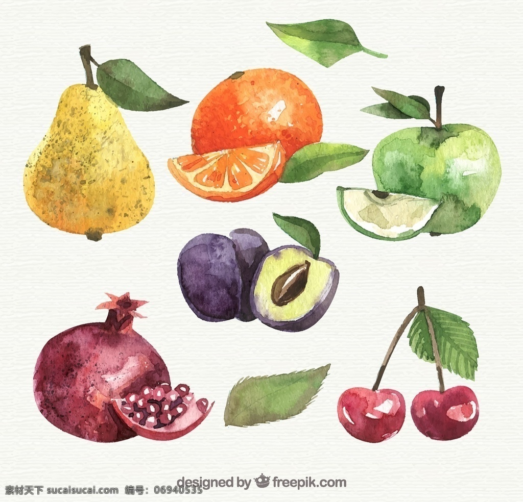 水彩 绘 水果 橙子 苹果 李子 石榴 矢量 高清图片
